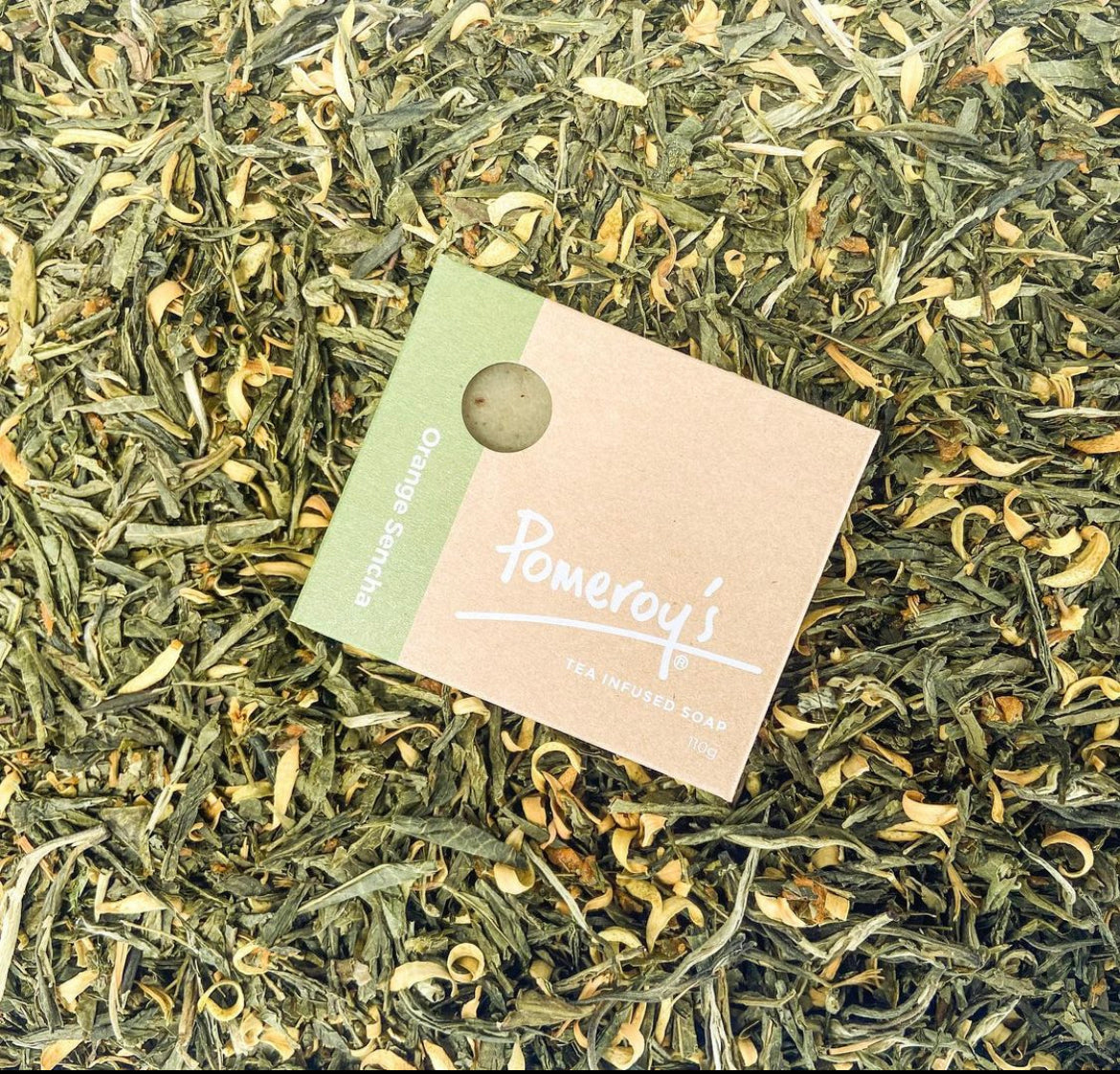 Pomeroy's Soap - Image 2